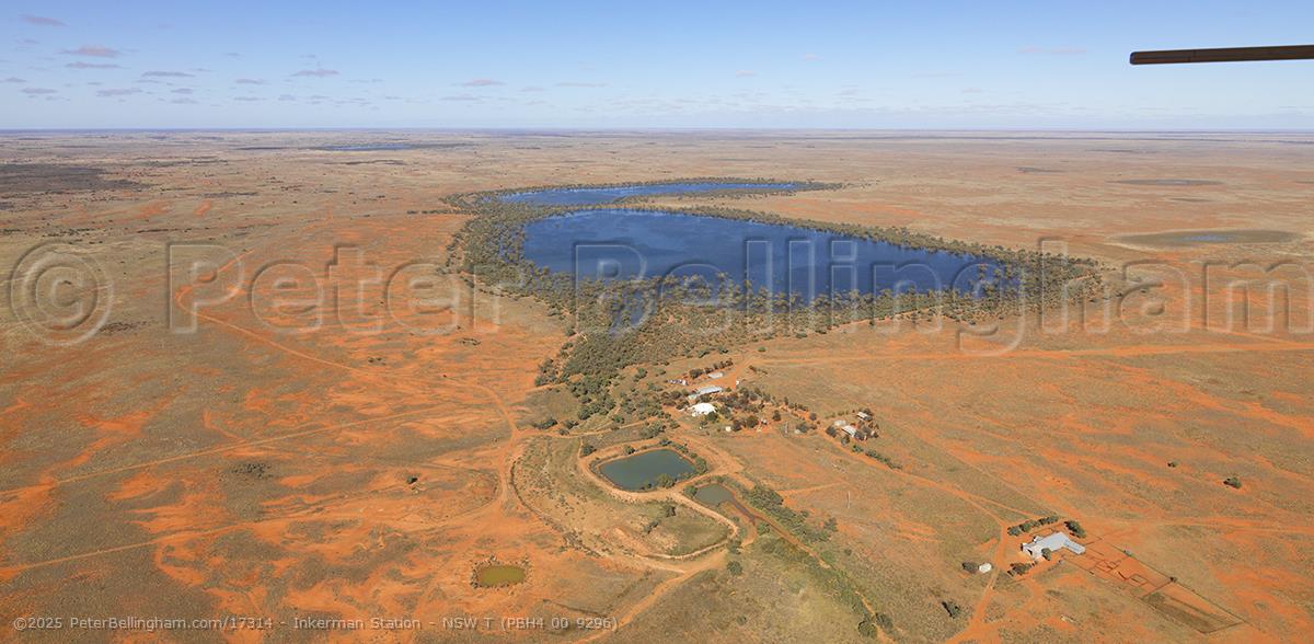 Peter Bellingham Photography Inkerman Station - NSW T (PBH4 00 9296)